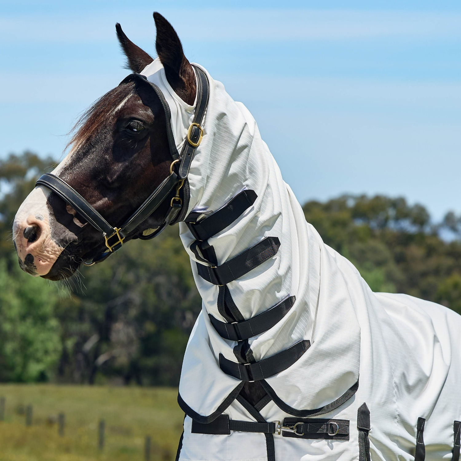 Weatherbeeta Comfitec Sweet Itch Shield Fly Sheet Combo