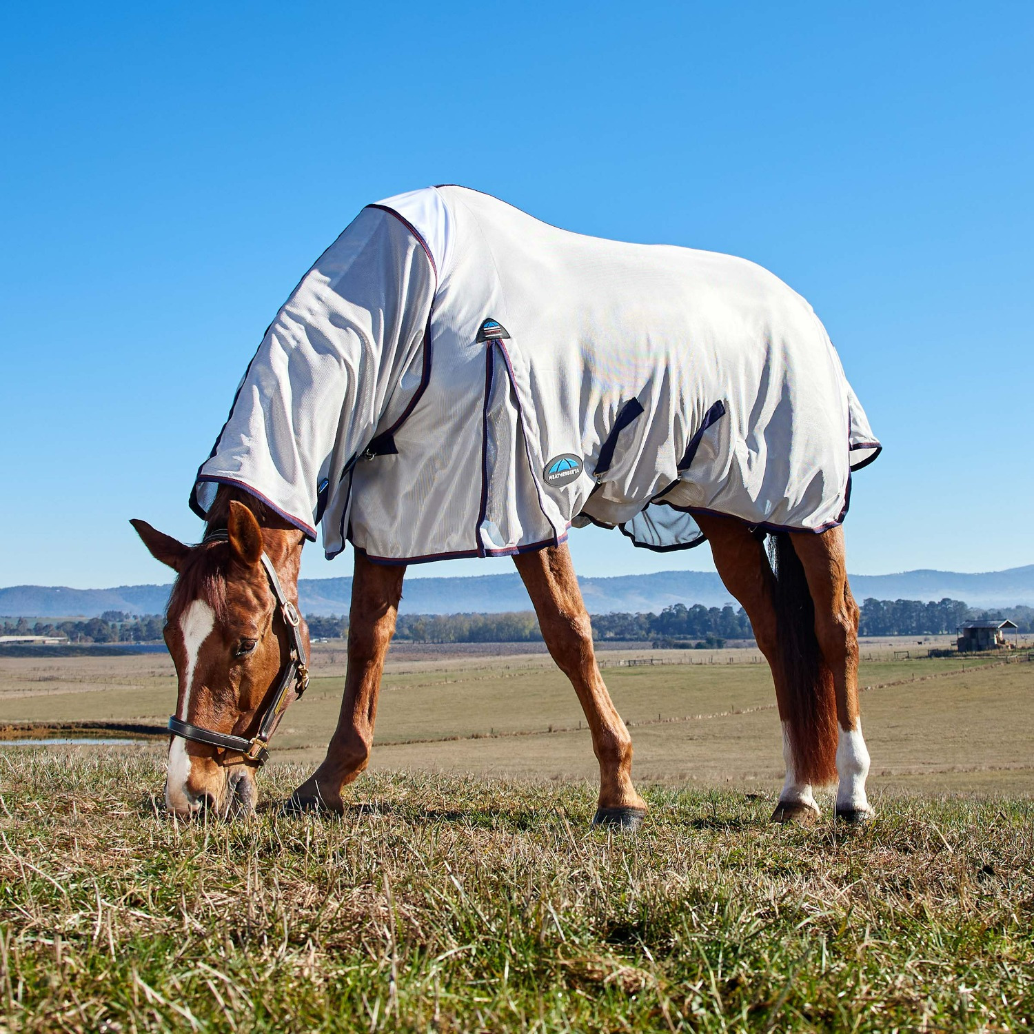 Weatherbeeta Comfitec Airflow Fly Sheet Combo