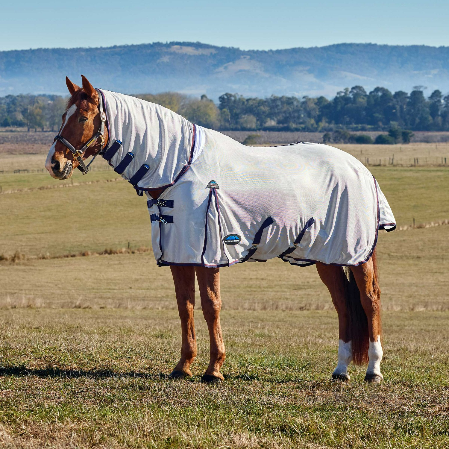 Weatherbeeta Comfitec Airflow Fly Sheet Combo
