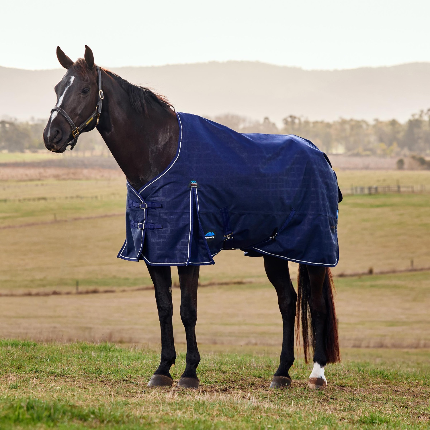Weatherbeeta Comfitec Prelim Standard 100G Turnout Blanket