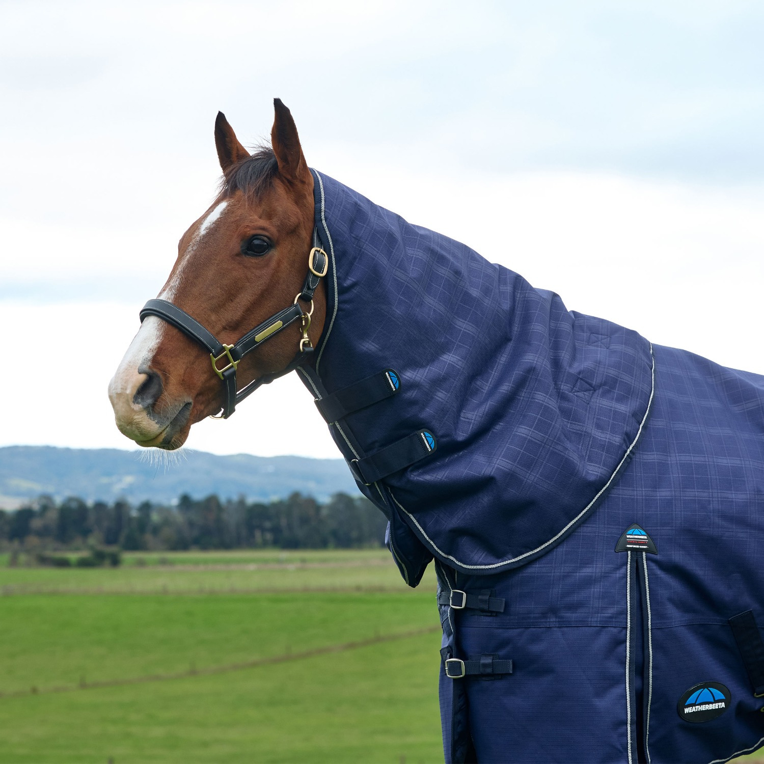 Weatherbeeta Comfitec Prelim Turnout Neck Cover 220G