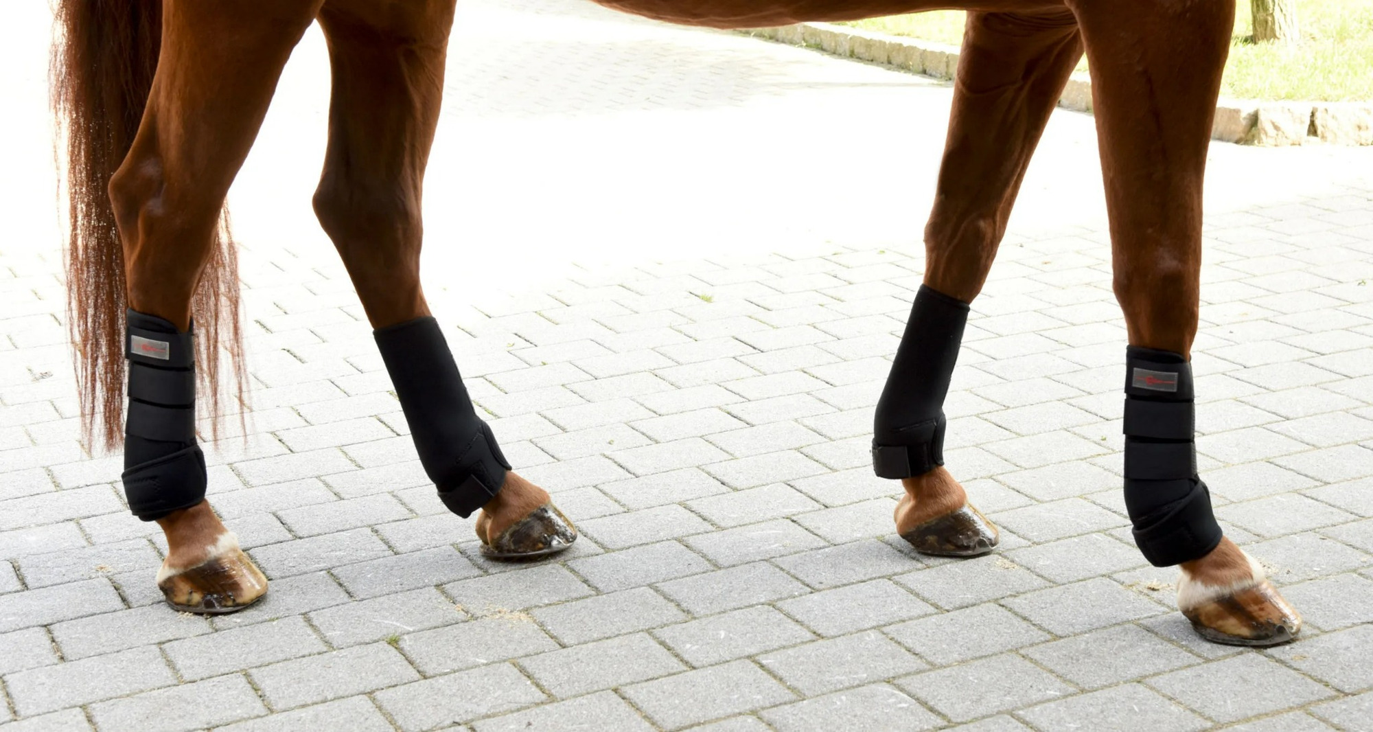 Covalliero Leg Protectors - Set of 4