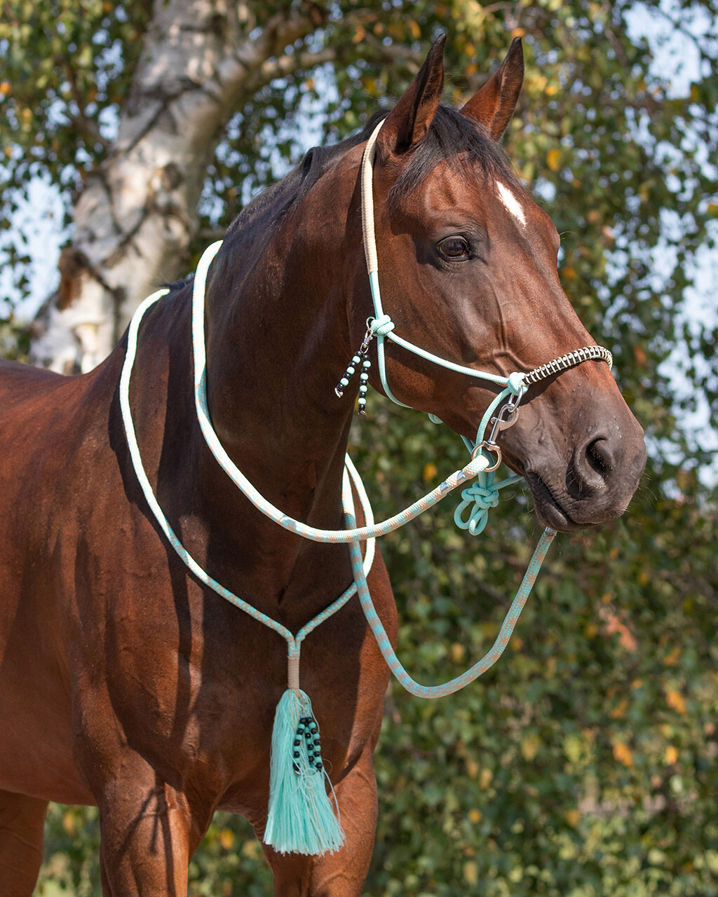 QHP Liberty Rope Halter Combo