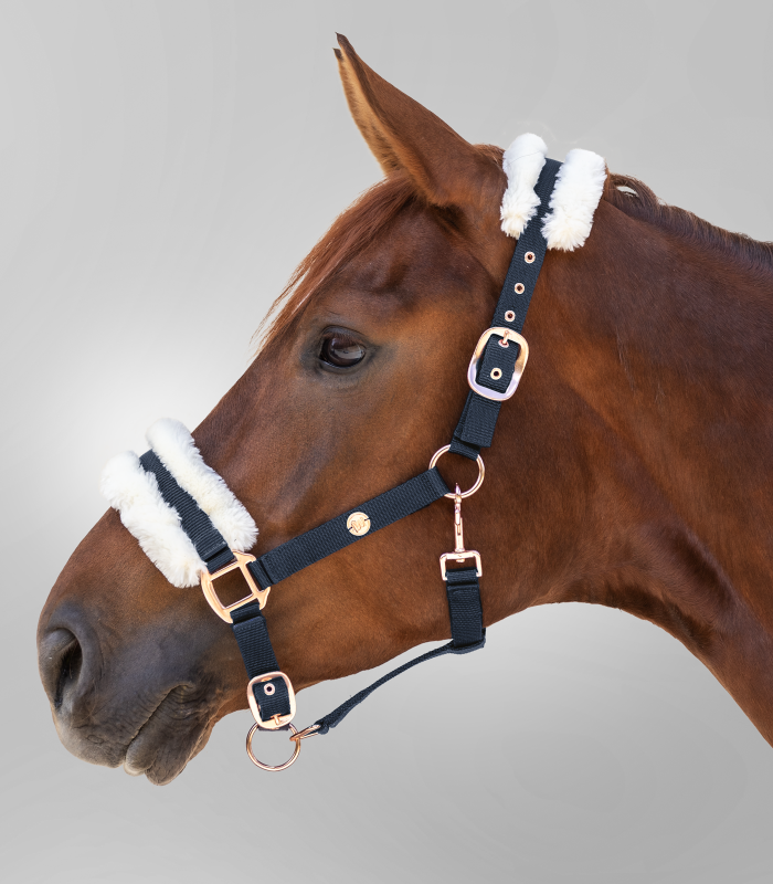 Waldhausen Halter modern rosé