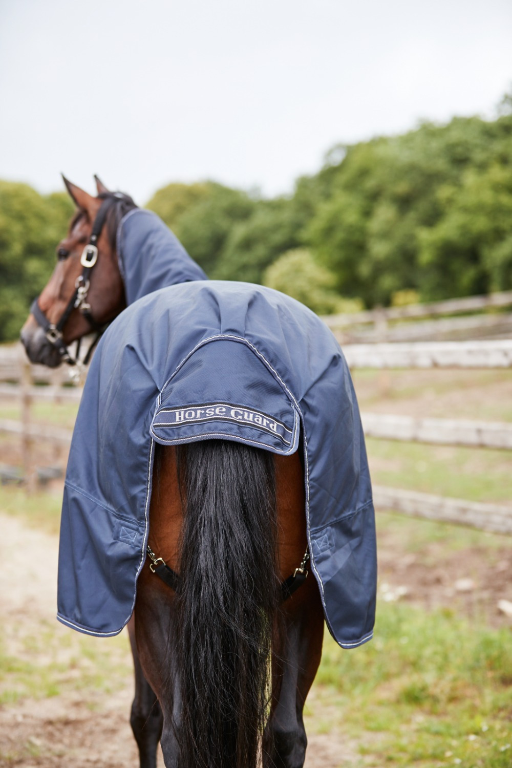 HorseGuard Regendecke 1200D mit abnehmbarem Halsteil 0 g Milan