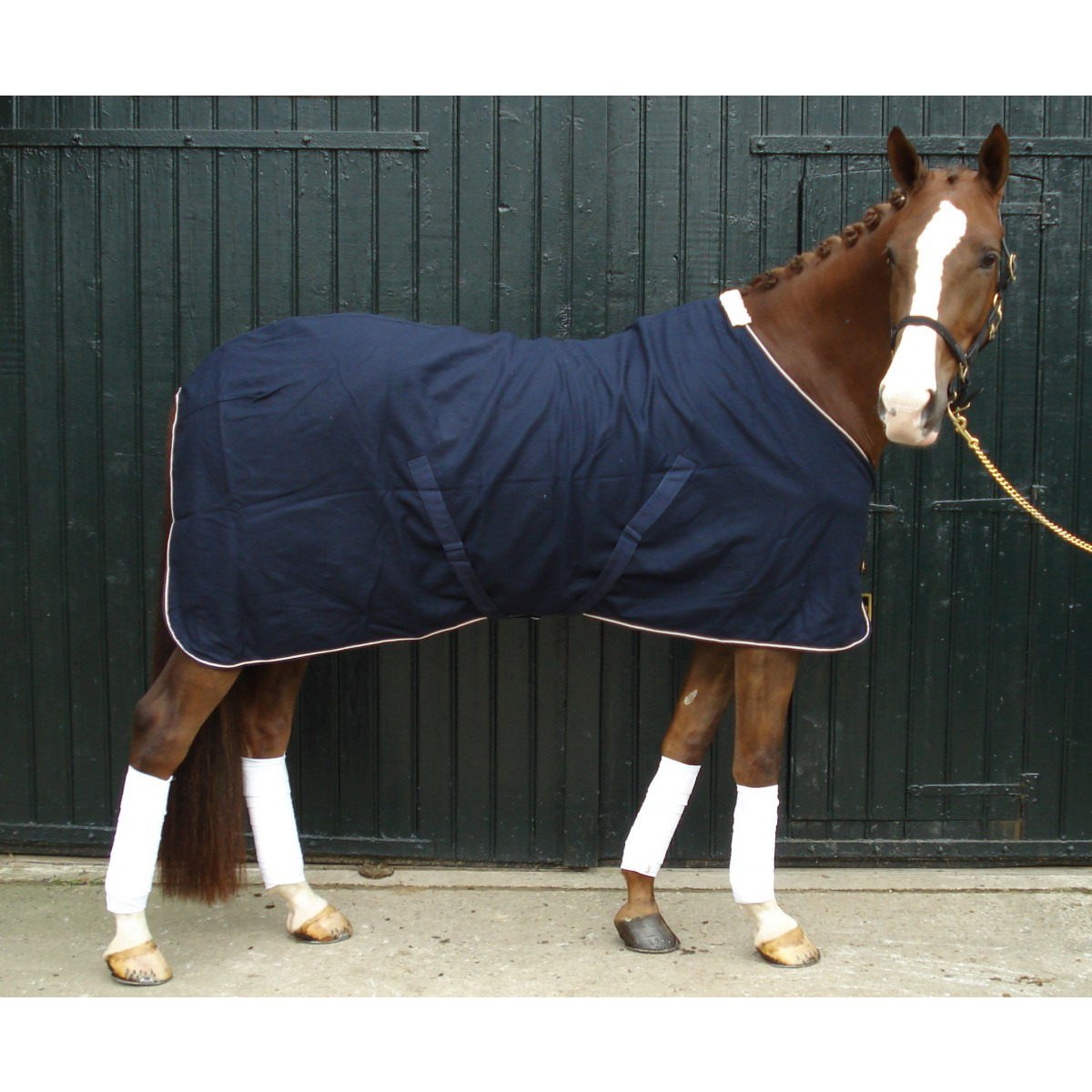 HB Thin Woollen Premium Show Rug