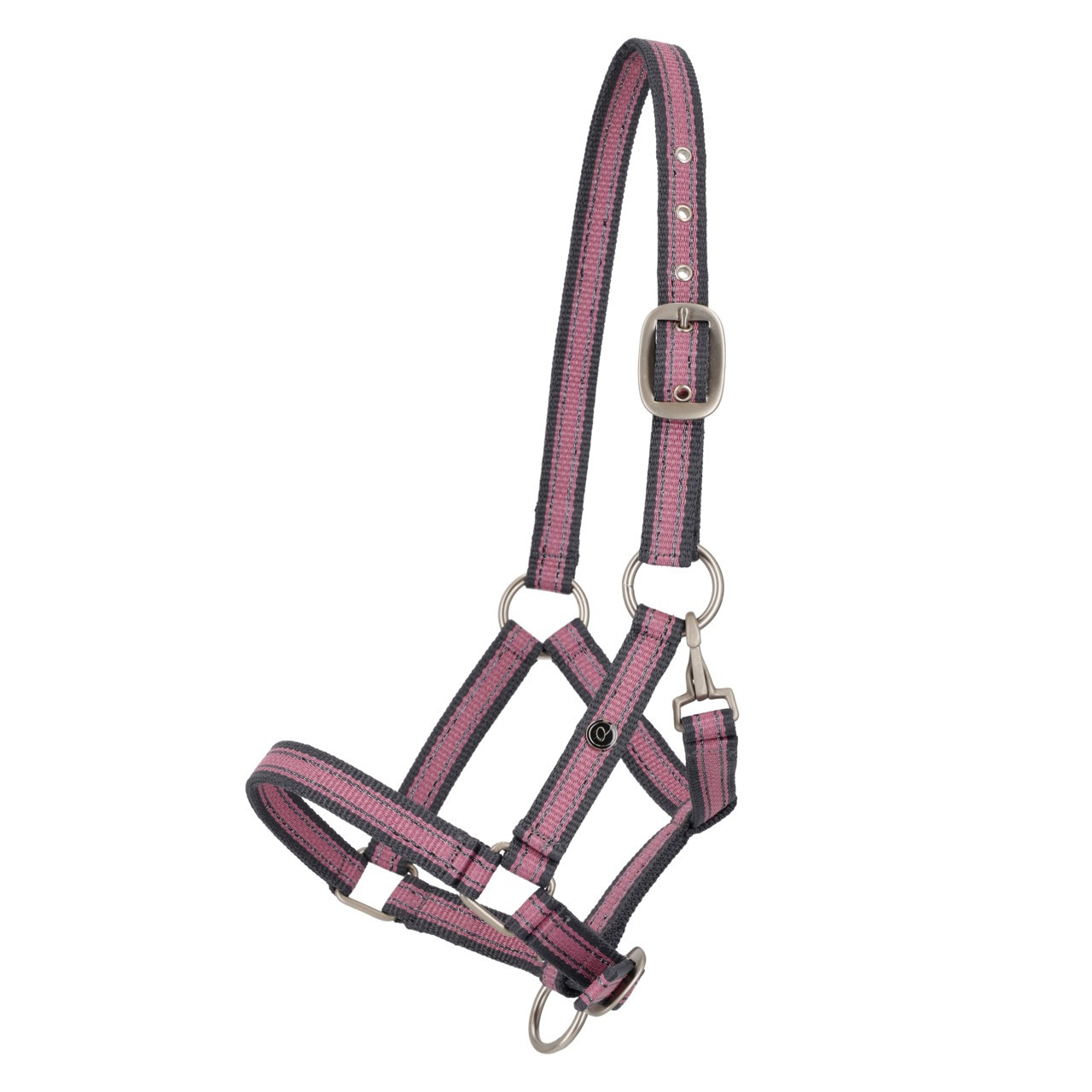 QHP SS26 Veulenhalster collection