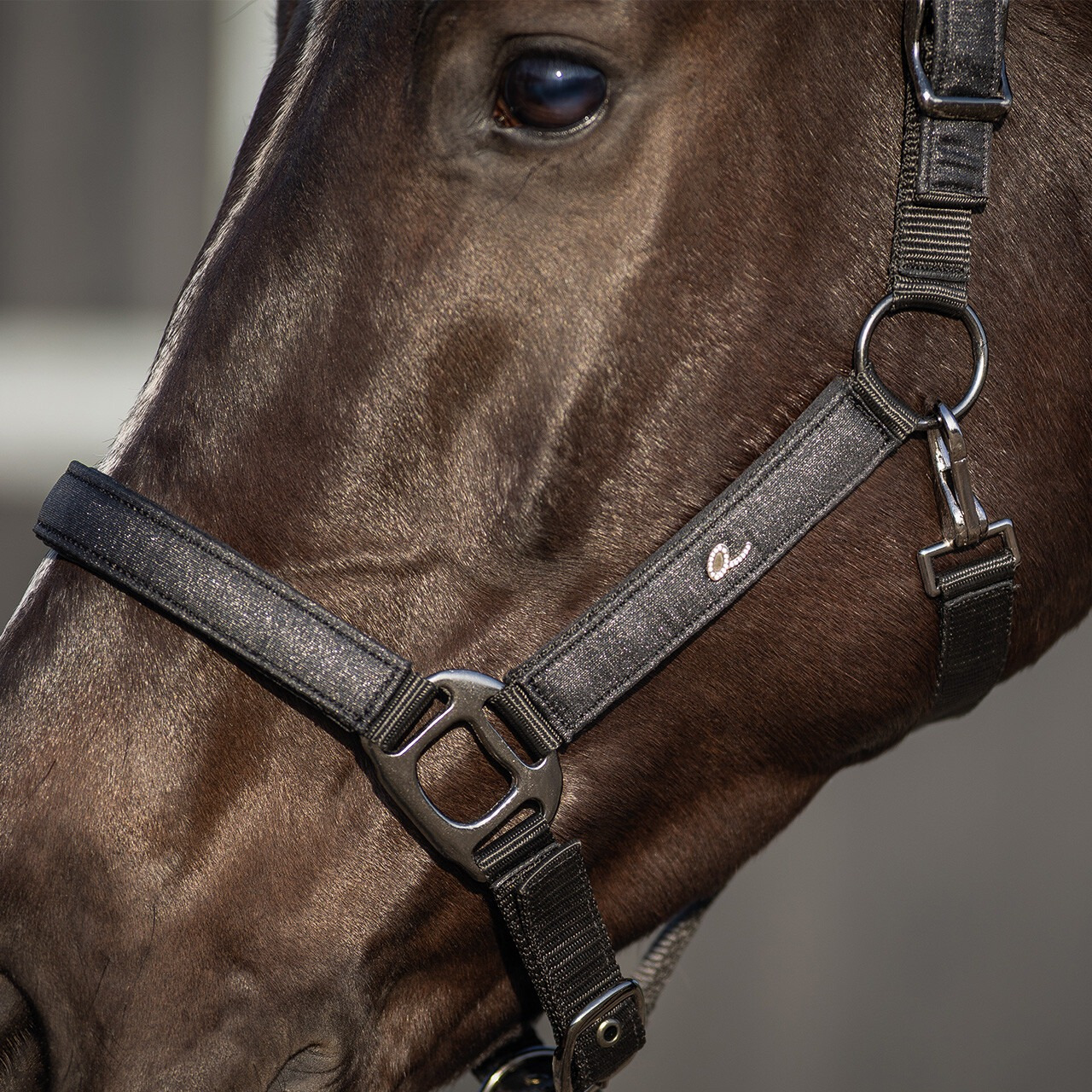 QHP Glitter Halter