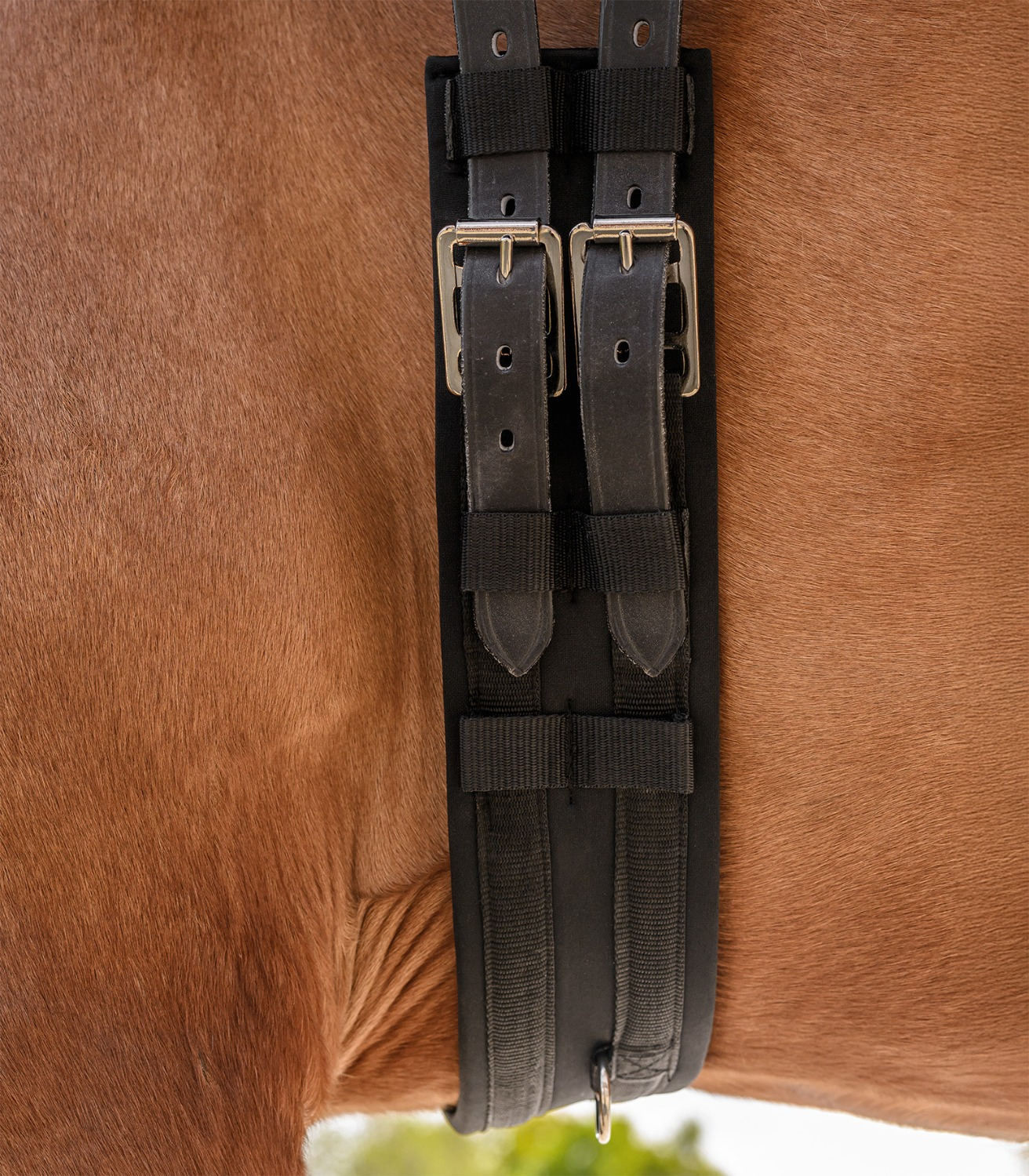 Waldhausen Dressage Girth Economic