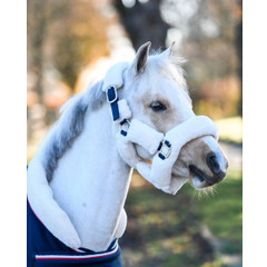 HB Showtime Harry and Hector Fluffy Halster Little sizes