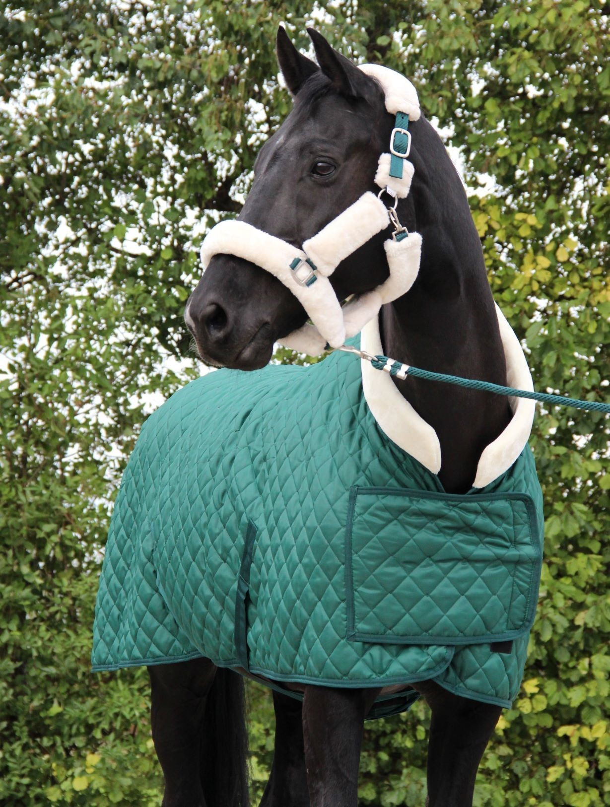 HB Showtime Show Rug Desir