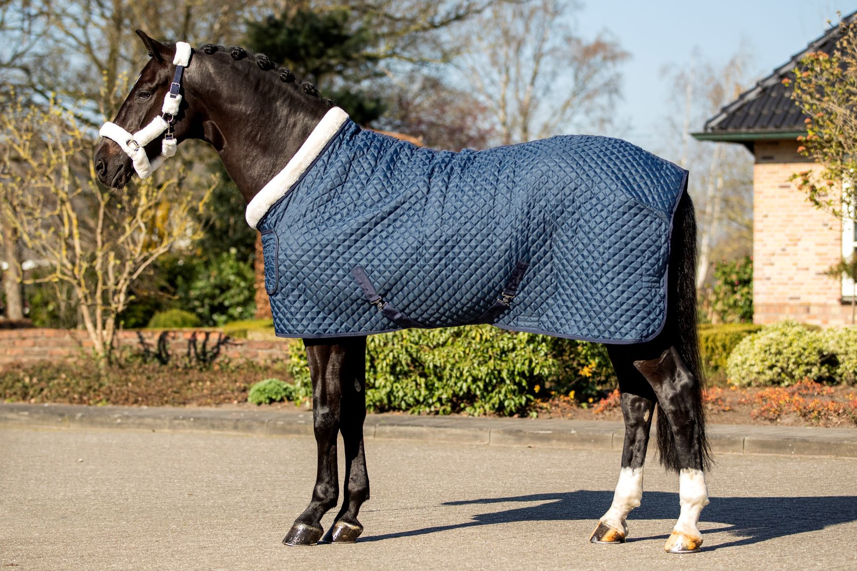 HB Showtime Steelblue Desir Show Rug
