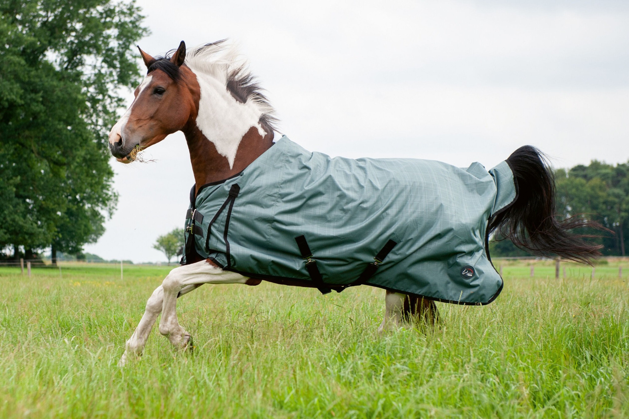 HKM Turnout Rug High Comfort