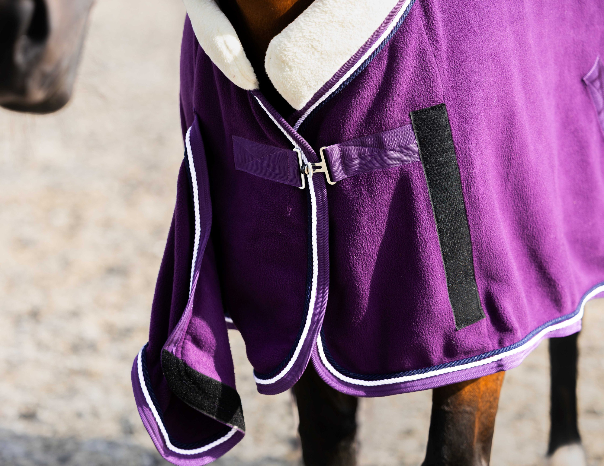 HB Showtime Polar 400g Dutch Crown Showdeken Plum
