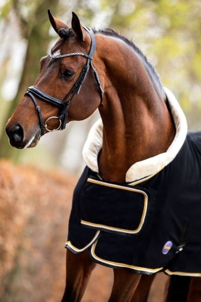 HB Polar 400g Dutch Crown Show Rug