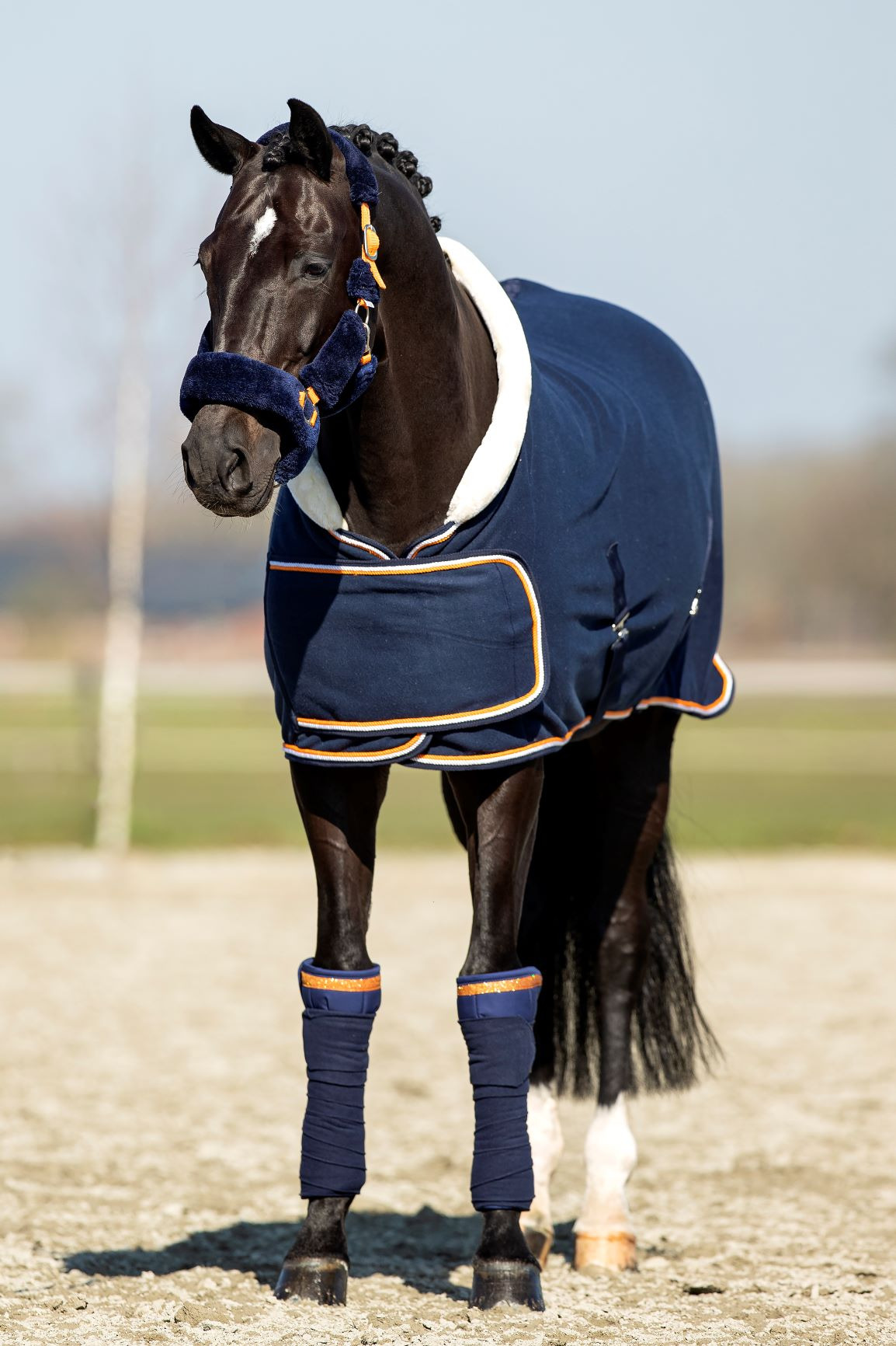 HB Showtime Blue Moon Show Rug