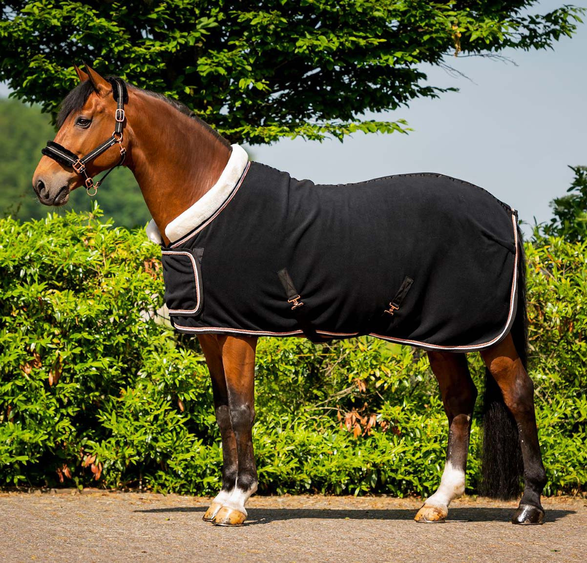 HB Fleece Dutch Crown Europe Rose Show Rug