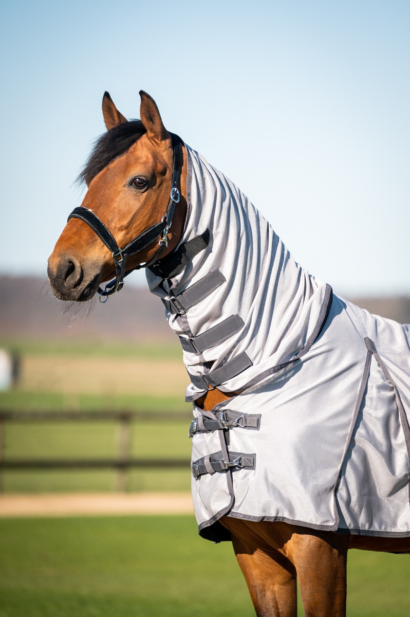 HB Fly rugs with neck piece
