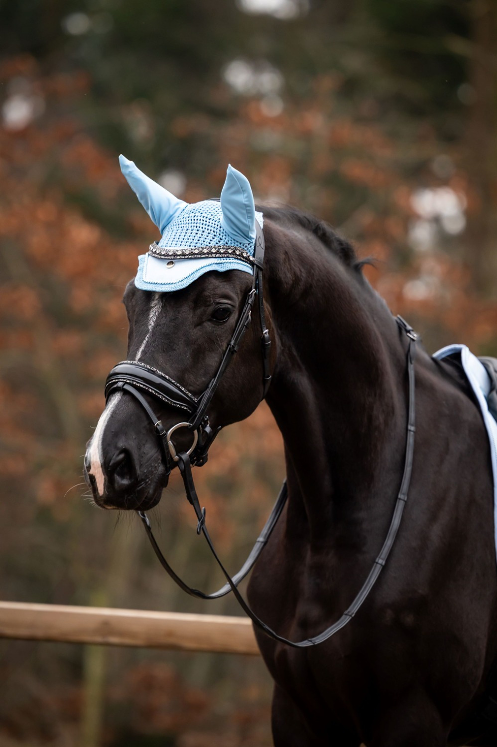 HB Showtime Fly Veil Spring Collection
