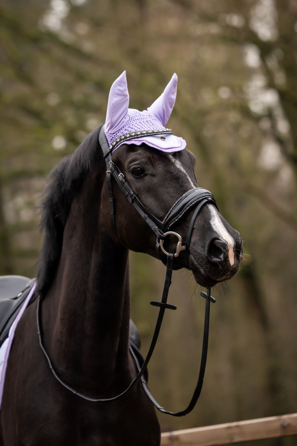 HB Showtime Fly Veil Spring Collection