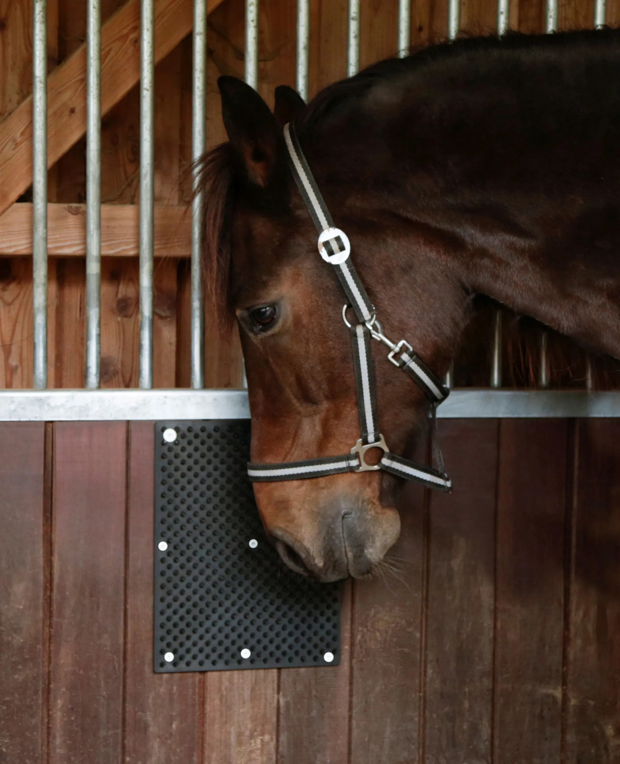 Kerbl Scratching Mat