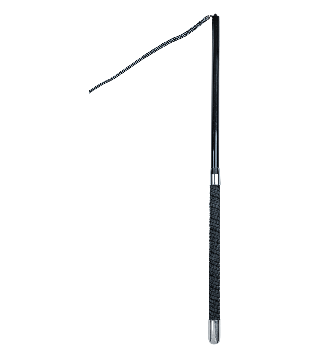 Waldhausen SuperLight Lunge Whip 4-Piece