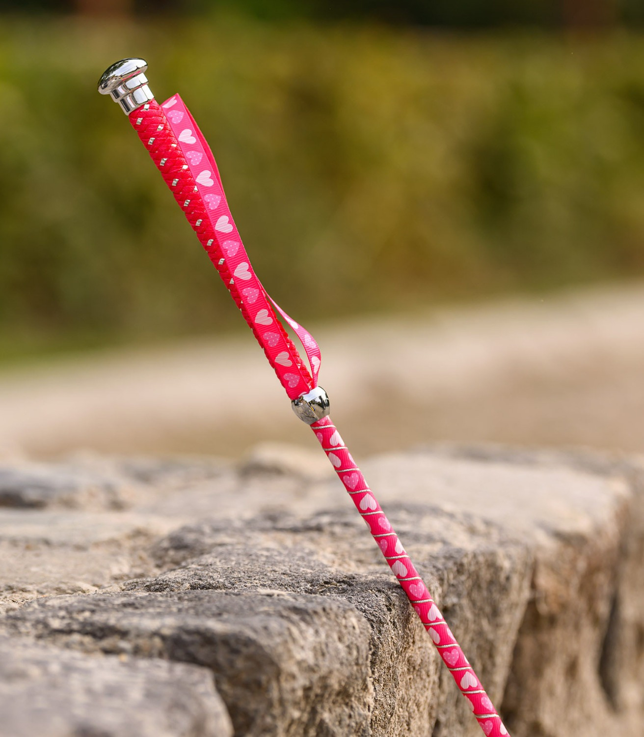 Waldhausen Kids Riding Crop - Hearts