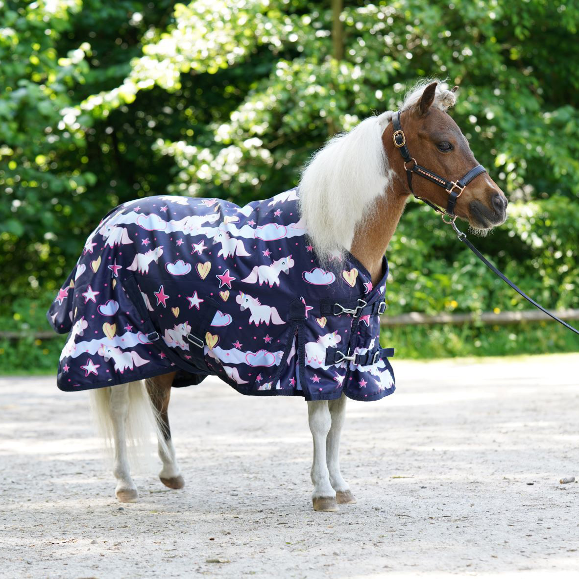 HB Outdoor Rug Unicorn Dream Fleece Lined