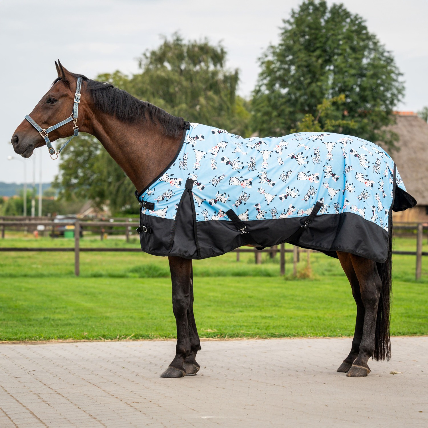 HB Outdoor Rug 200g Mr Squeez