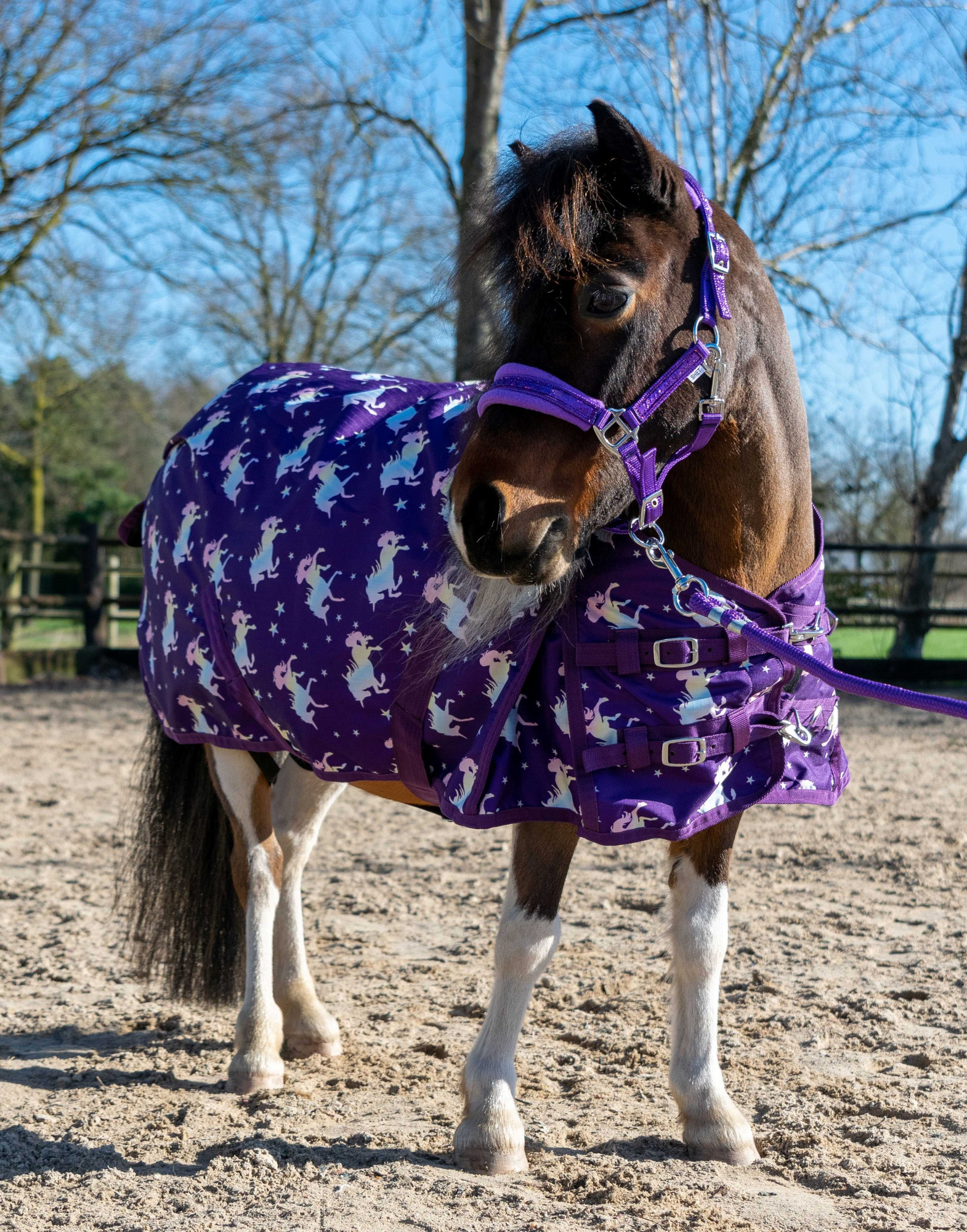 HB Turnout Rug Harry and Hector Flying Unicorn 200g