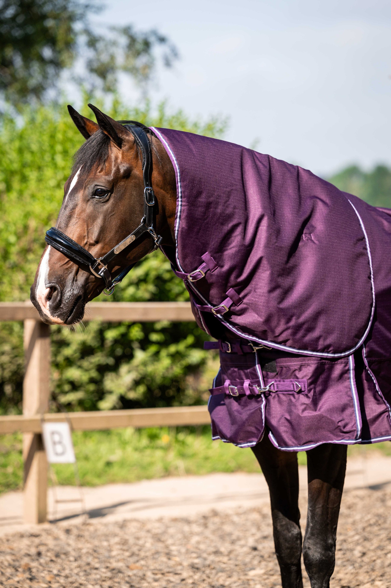 HB Showtime Outdoordeken met Afneembare Hals Plum 300g