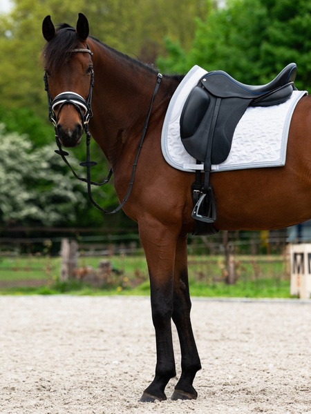 PS of Sweden AW25 Dressage Saddle Pad Crystal Logo