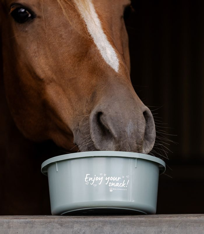Waldhausen Muesli Bowl 2L with lid