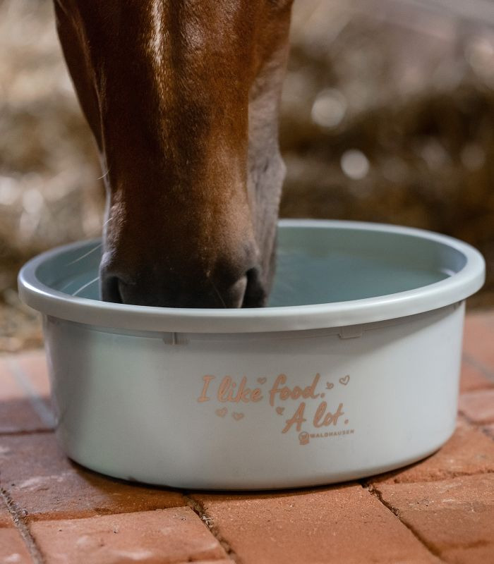 Waldhausen Muesli Bowl XL with lid