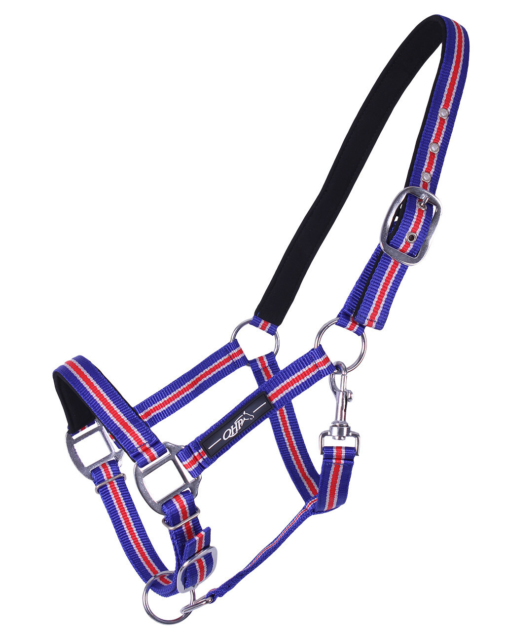QHP Halter Icelandic