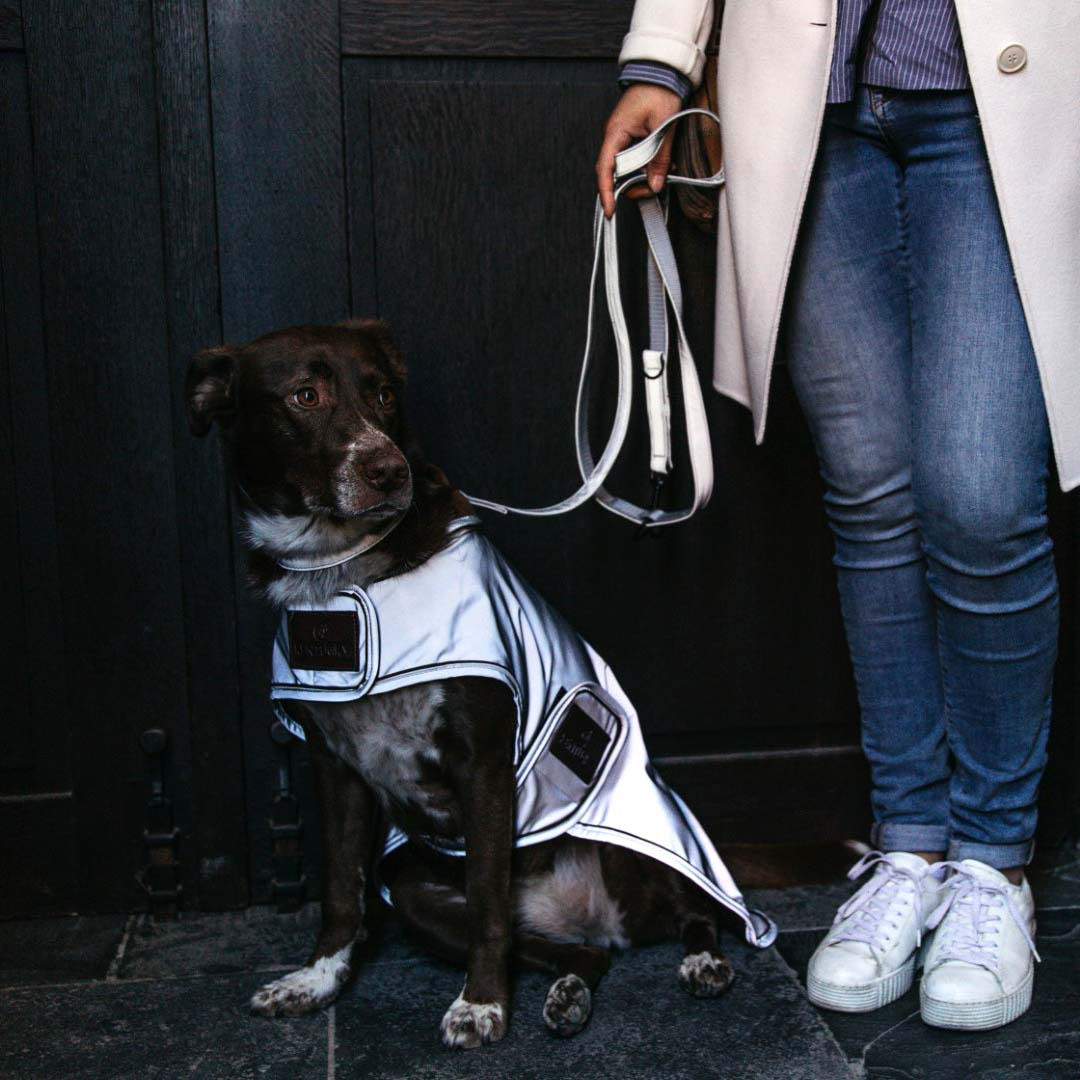 Kentucky Hundejacke Reflektierend