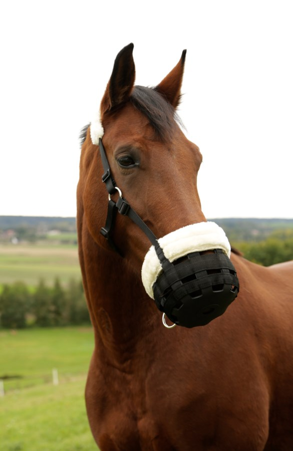 Covalliero Grazing Muzzle Teddy