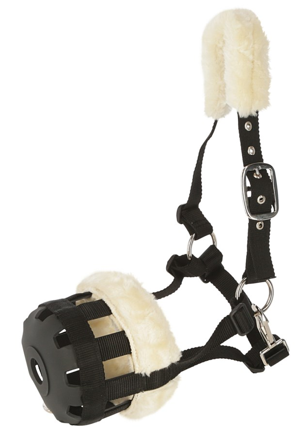 Covalliero Grazing Muzzle Teddy