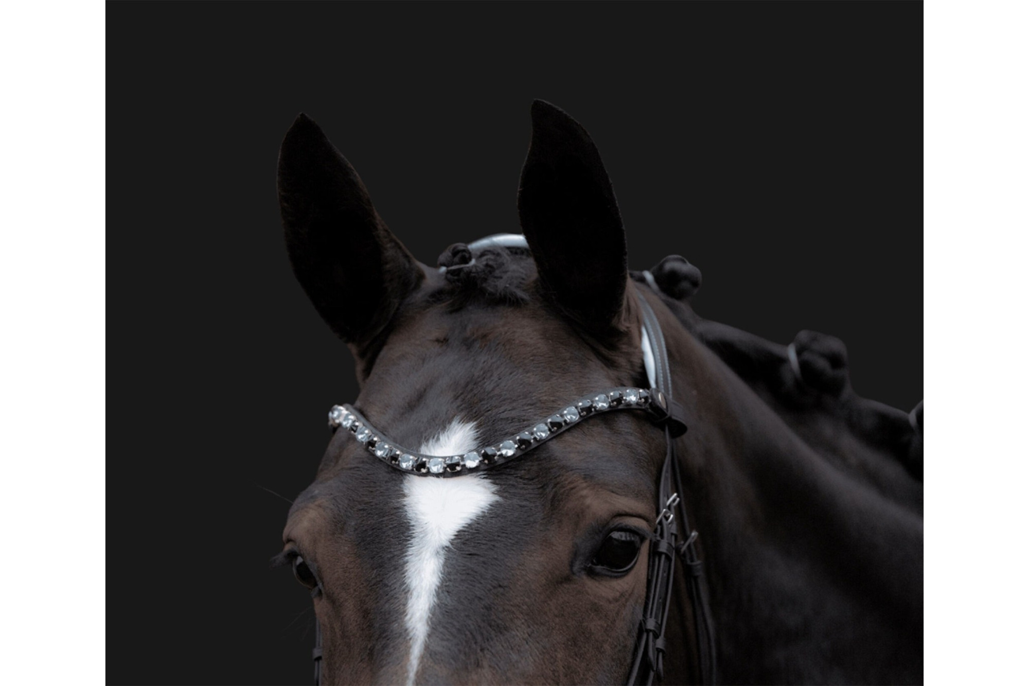 HKM Manchester Bridle