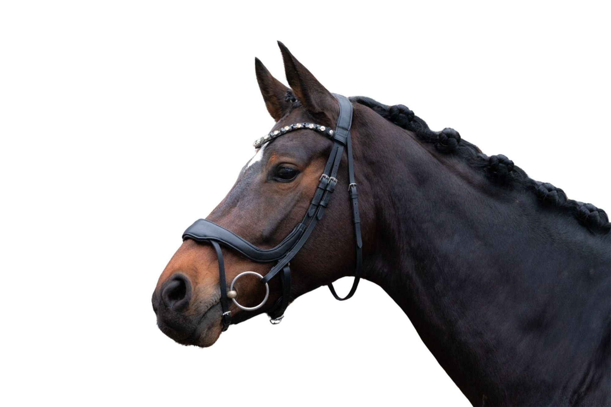 HKM Bridle Anatomic Mila