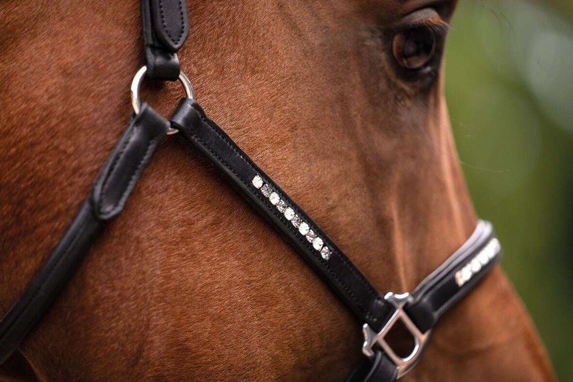 HKM Leather Halter Sparkle