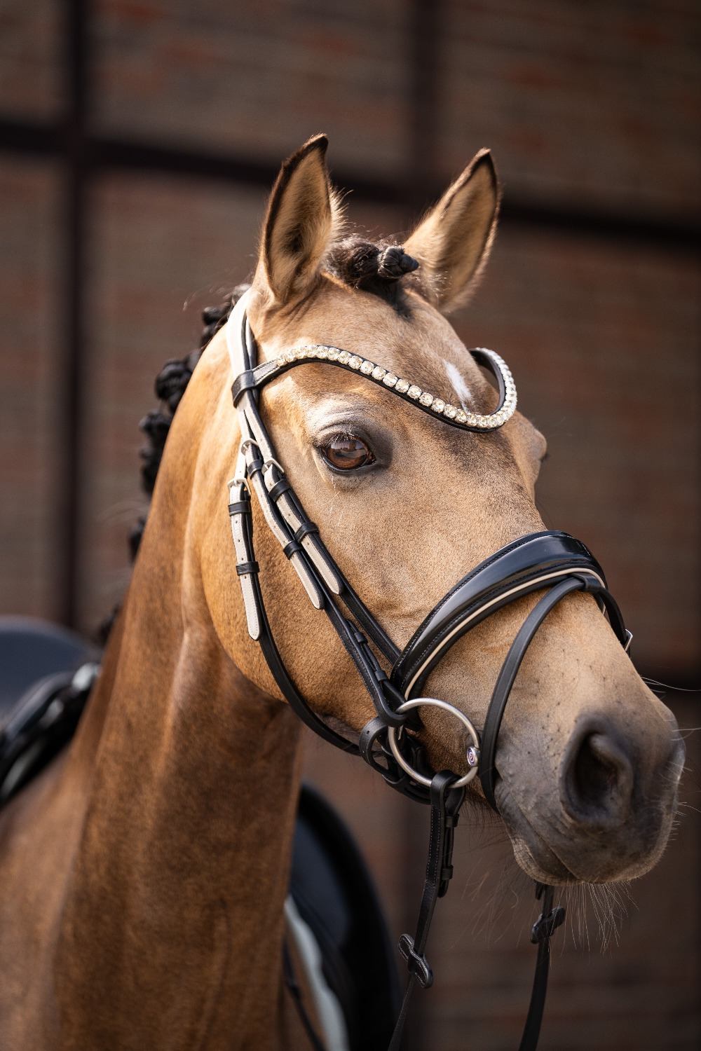 Lauria Garrelli  SS26 Bridle Limone Elegant