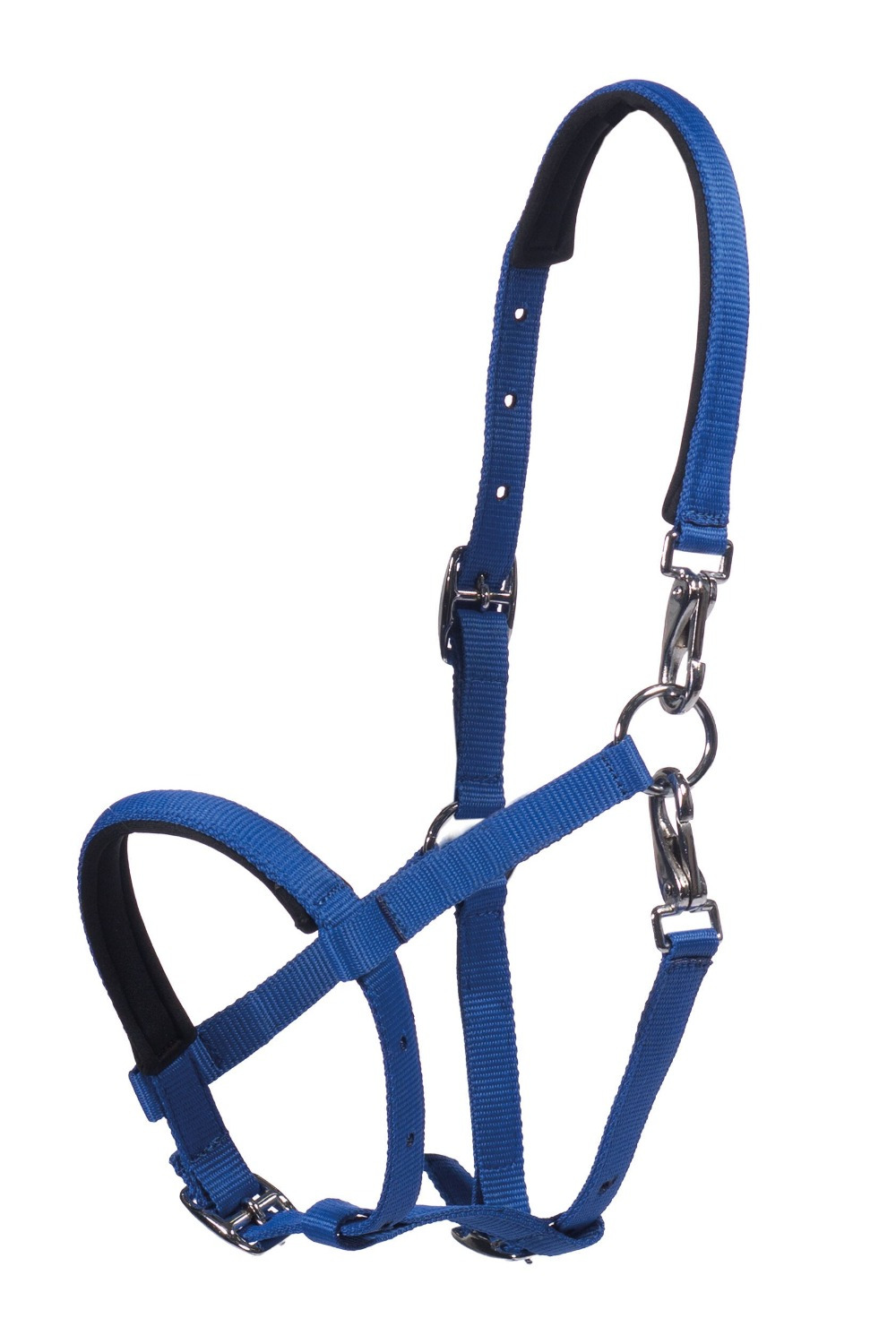 HKM Foal Halter Millie