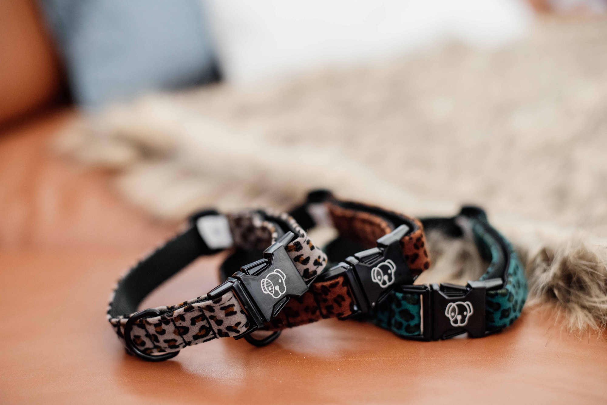 Kentucky Dog Collar Leopard