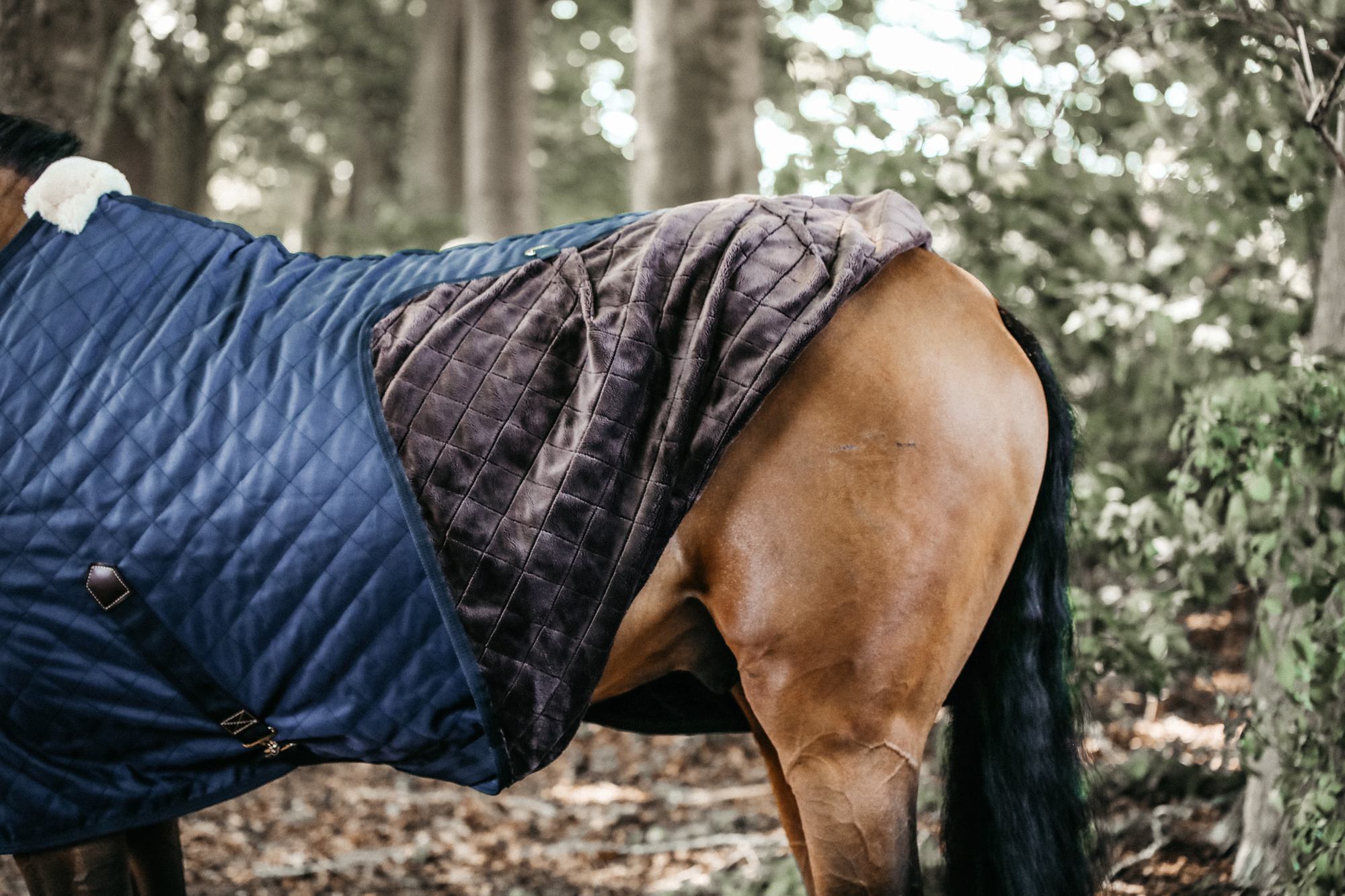 Kentucky Stalldecke Navy 0gr