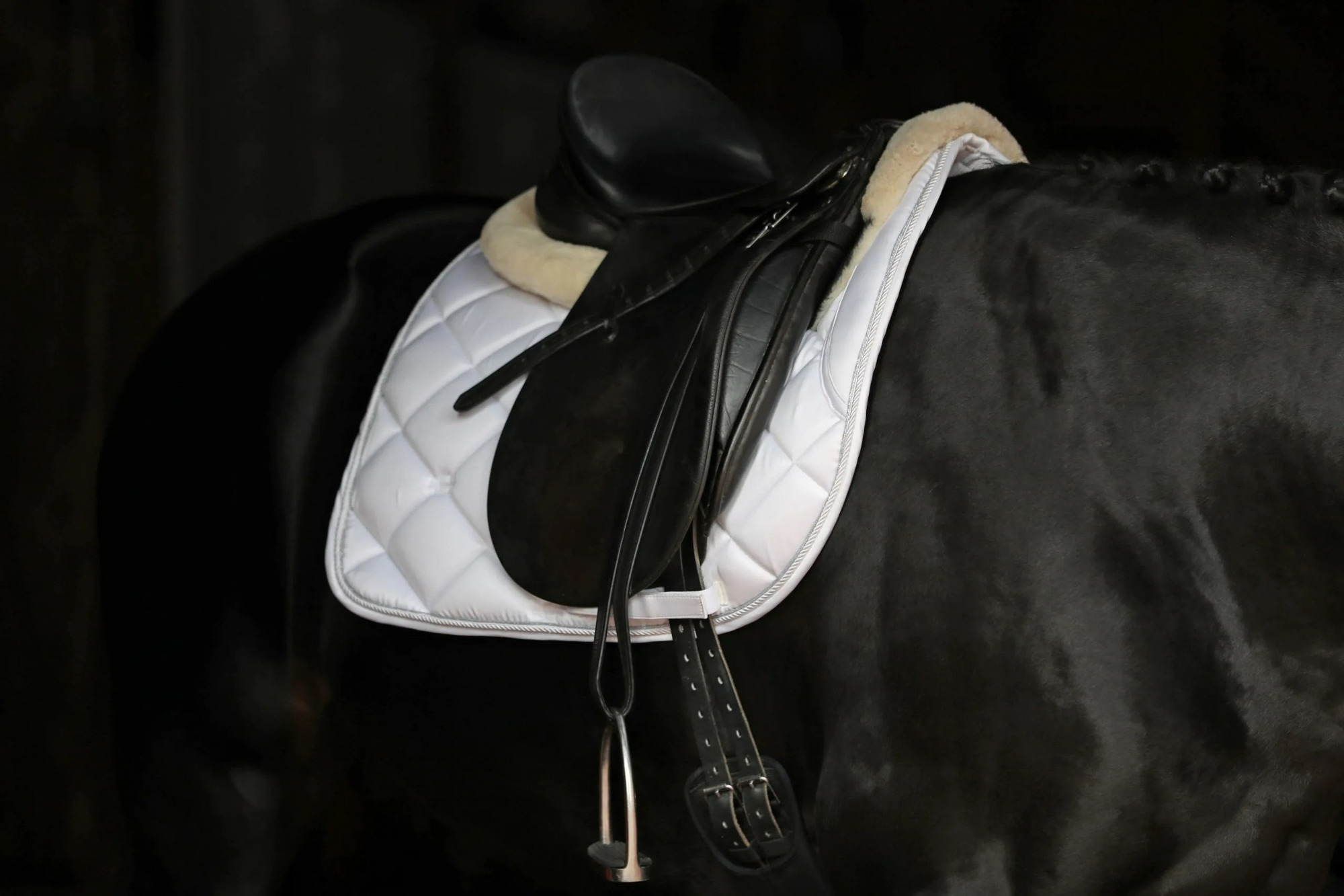 Covalliero Empara Saddle Pad