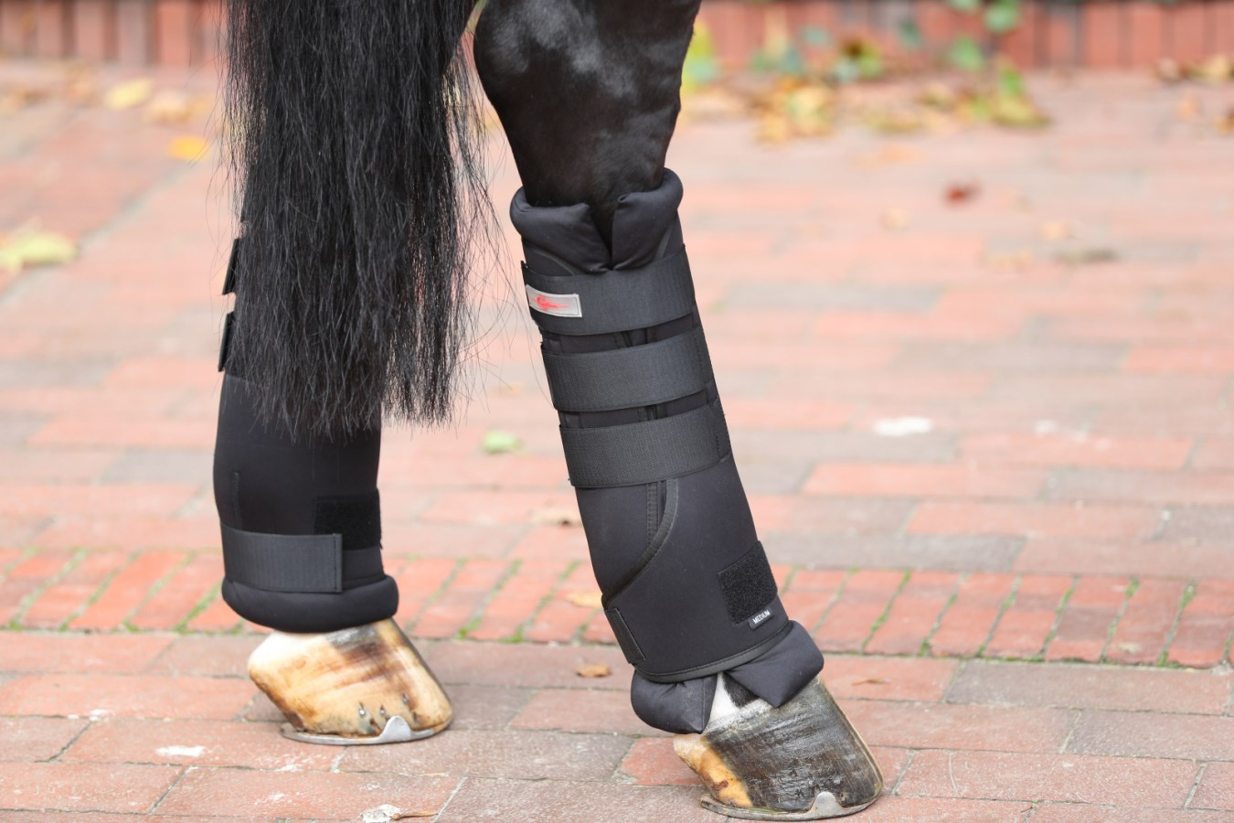 Covalliero Stable and Transport Protectors
