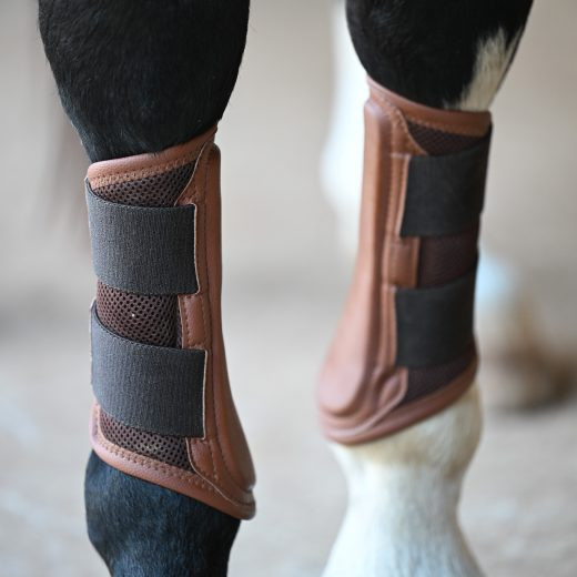 16C Sport Tendon Boots