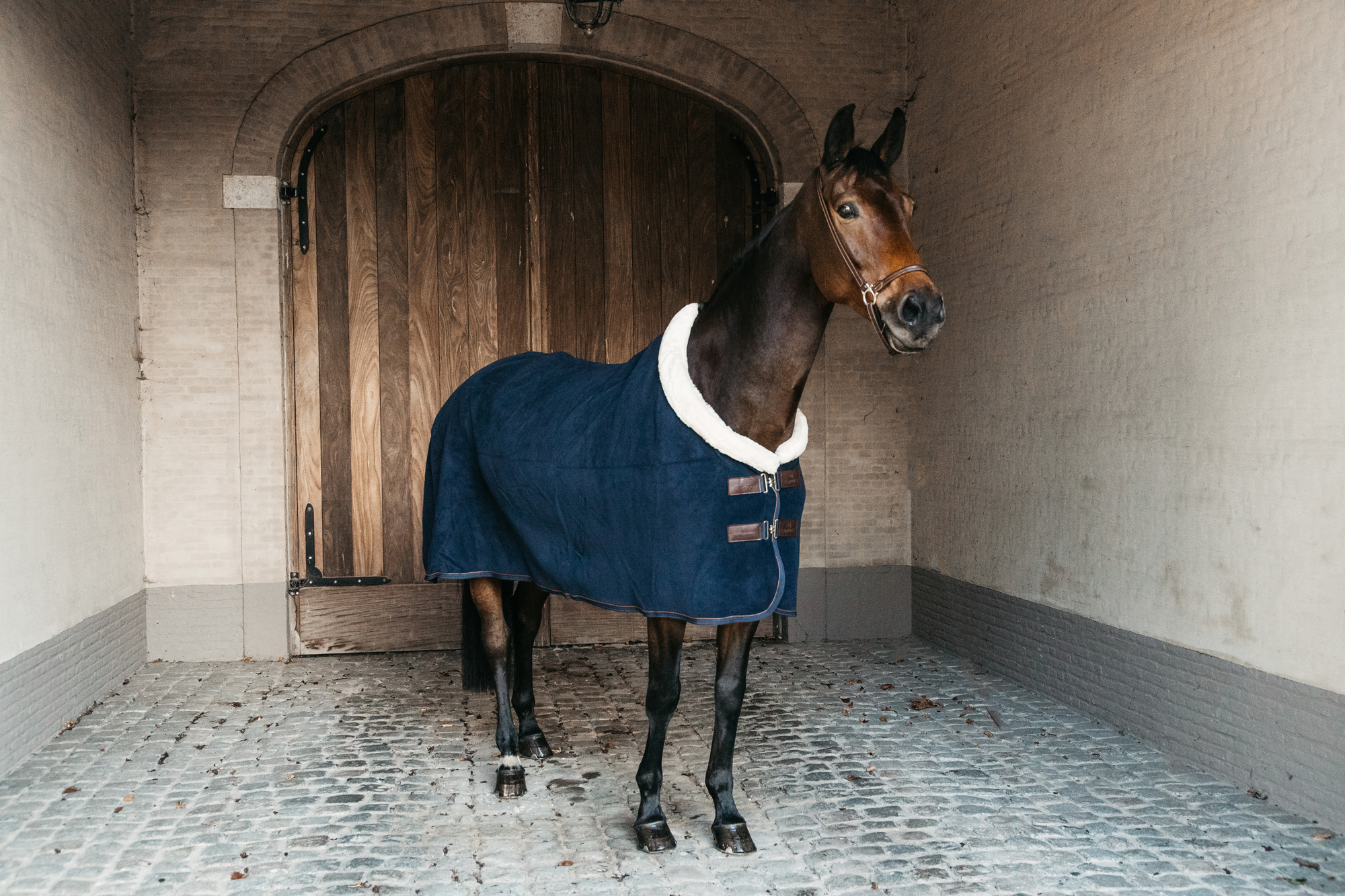 Kentucky fleece Rug Show Heavy navy