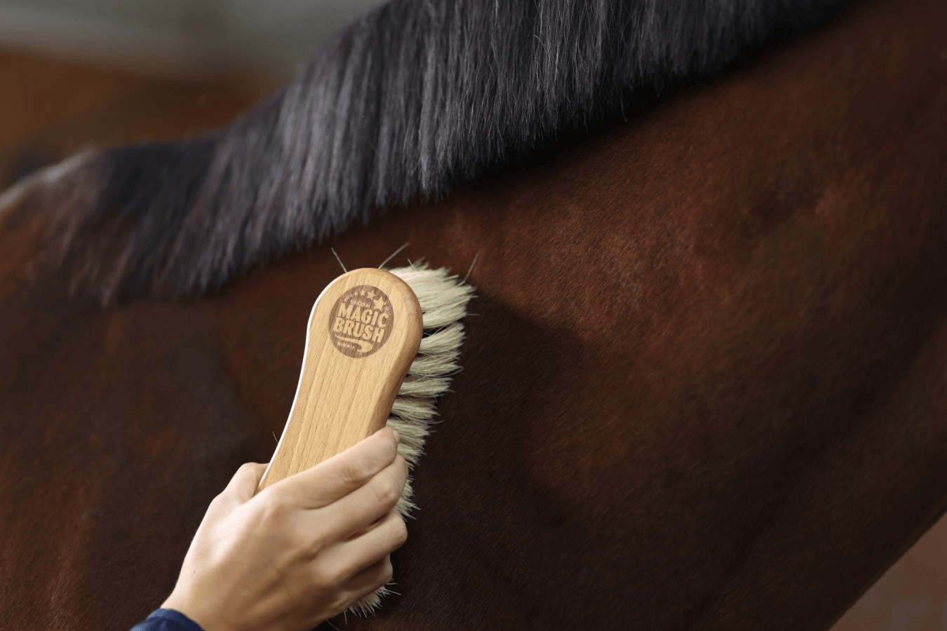 MagicBrush Combi-Bürste 2-in-1
